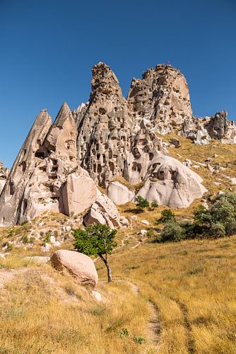 Goreme Cappadocië