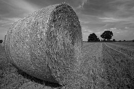 Strohballen schwarzweiss von Frank Herrmann