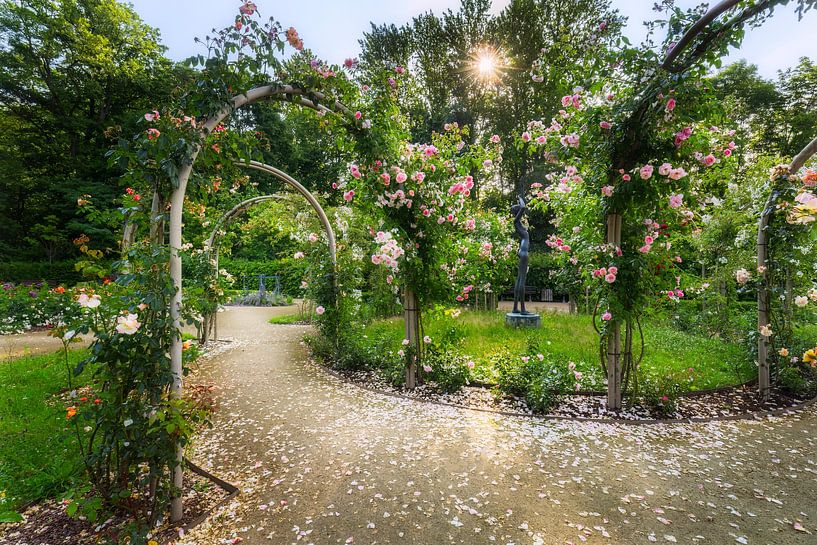 Rosengarten im Chemnitzer Stadtpark von Daniela Beyer