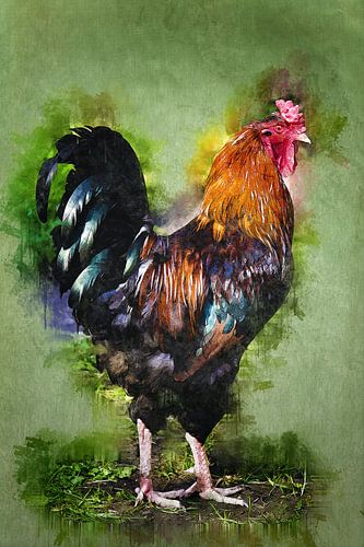 Zwartkoperen Gemengde Haan