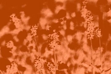 Lavender in terracotta and warm brown. Modern botanical art by Dina Dankers