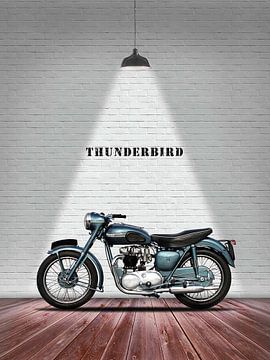 Triumph Thunderbird 1955 van Slukusluku batok