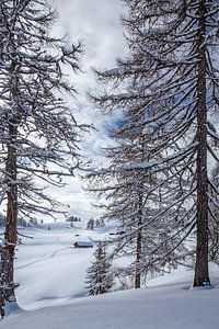 Wintertraum auf der Lackenalm