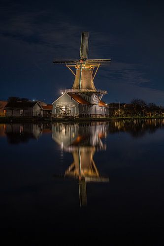 Das Sägewerk der Salamander