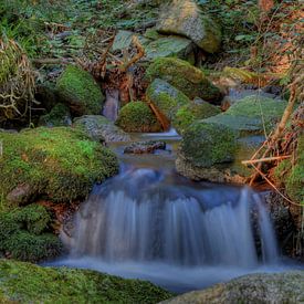 Wasserfall mit von Moos überwucherten Felsen von Cor Brugman