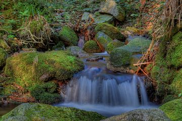Waterfall with rocks overgrown with moss by Cor Brugman