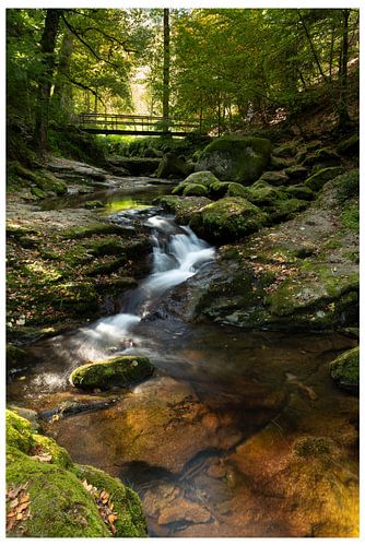 Petite chute d'eau dans le Grobbach près de Geroldsau- Baden-Baden