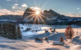 Seiser Alm / Alpe di Siusi von Mario Calma
