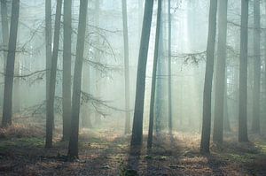 into the light..