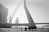 Genießen Sie die Sonne gegenüber der Erasmusbrücke
