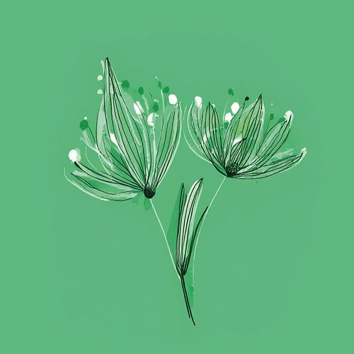 Witte schermbloem tekening