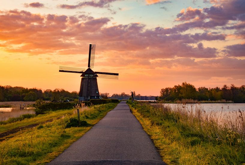 Twiskemolen van Merel Pape Photography