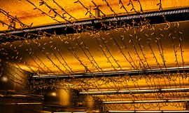 Gouden lichtsnoeren — warme feestverlichting van Broodrooster Studio – Creatieve Fotografie