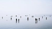 Laagwater aan de Noordzeekust