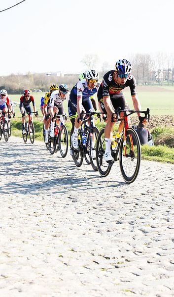 The heroes of the cobbled classics by FreddyFinn
