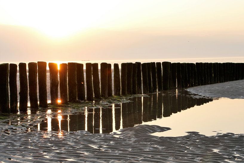 Reflection Poles Breskens beach by Christel Smits