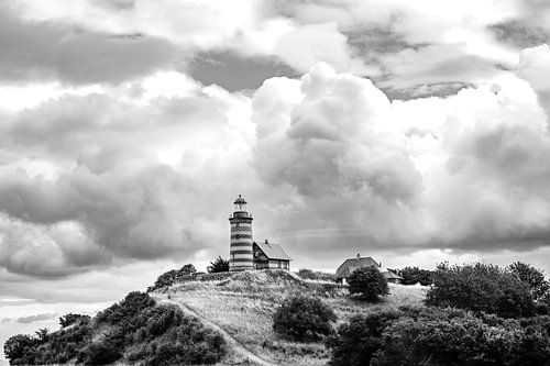 Home is where the light is!