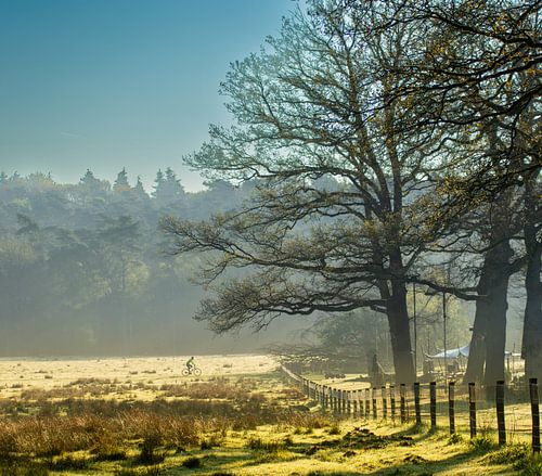 Bij het ochtendgloren eruit