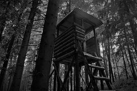 Willingen von Jeffrey Kind