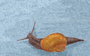 Snail mosaic by Richard Laschon