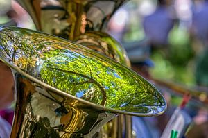 Tuba mit Spiegelung eines grünen Baumes