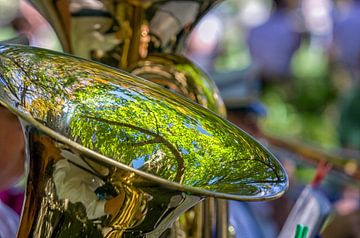 Tuba with reflection of a green tree by Patricia Hofmeester