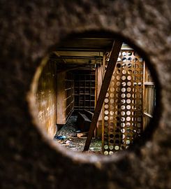 erlassene Taubenzucht - Einblicke durch das Guckloch von InfiniteArtLabs