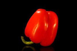 Paprika rot - Teil 2 des 4er-Satzes von Marion Hesseling