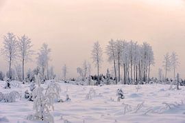 Zweden 6 by Marieke EWA