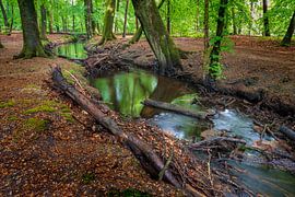 fließende Leuvenumse Beek von Eugene Winthagen