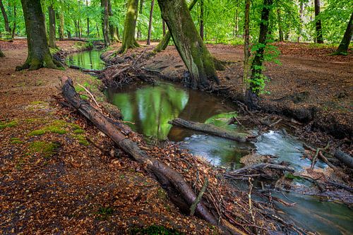 Stromende Leuvenumsche  Beek