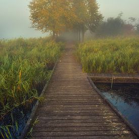 Foggy Trees van Creacas