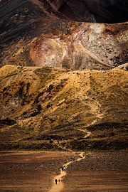 Hikers descend from the Red Crater, Tongariro Alpine Crossing by Paul van Putten
