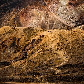 Wanderer steigen vom Roten Krater ab, Alpenübergang Tongariro von Paul van Putten