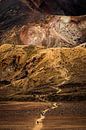 Wandelaars dalen af van de Rode Krater, Tongariro Alpine Crossing van Paul van Putten thumbnail