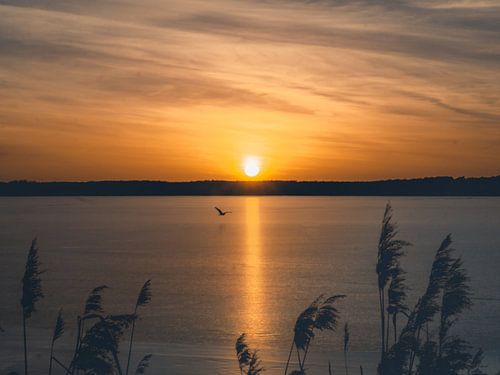 Vlucht over het meer