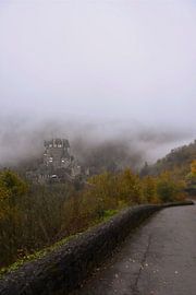 The endless road to the castle by Goldeneyes