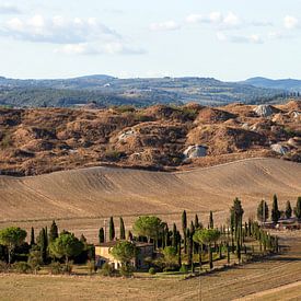 TOSCANA Crete Senesi - cipressen 001 van Bernd Hoyen