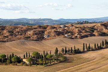 TOSCANE Crete Senesi - cyprès 001 sur Bernd Hoyen