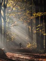 Automne 2021 - 6