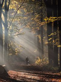 Autumn 2021 - 6 by Bart Ceuppens