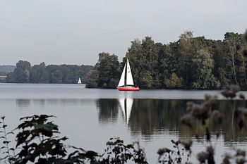 Rotes Segel-Boot