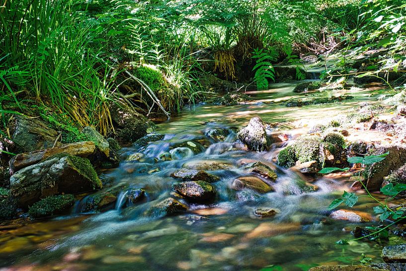 Small waterfall in the forest with moss on stones by Martin Köbsch