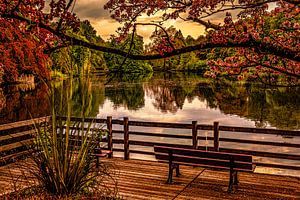 Rombergpark Dortmund