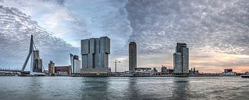 Panorama Kop van Zuid Rotterdam van Frans Blok