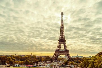 Paris Eiffel Tower  by davis davis