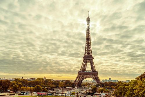 Paris Eiffel Tower  by davis davis