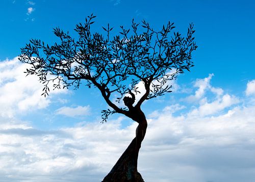 Figure féminine dans un arbre sur un beau fond
