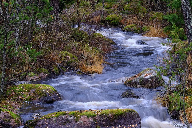 Stromend water in zweden van Geertjan Plooijer