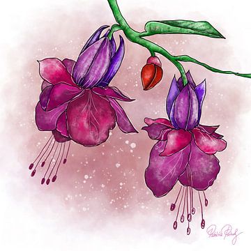 Blumenmotiv - Lila Fuchsien von Patricia Piotrak
